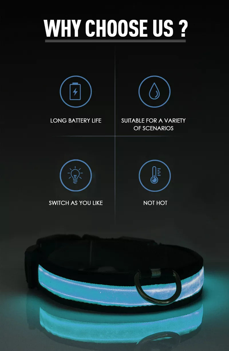 USB Charging LED Dog Collar