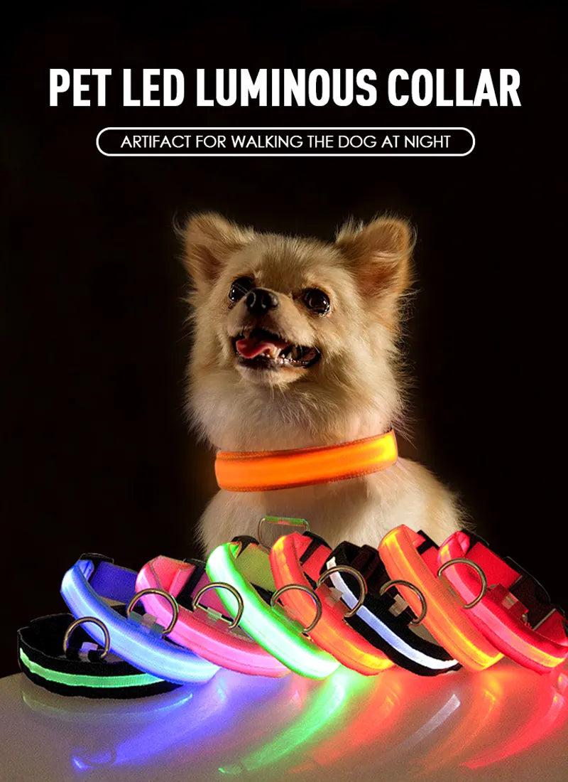 USB Charging LED Dog Collar