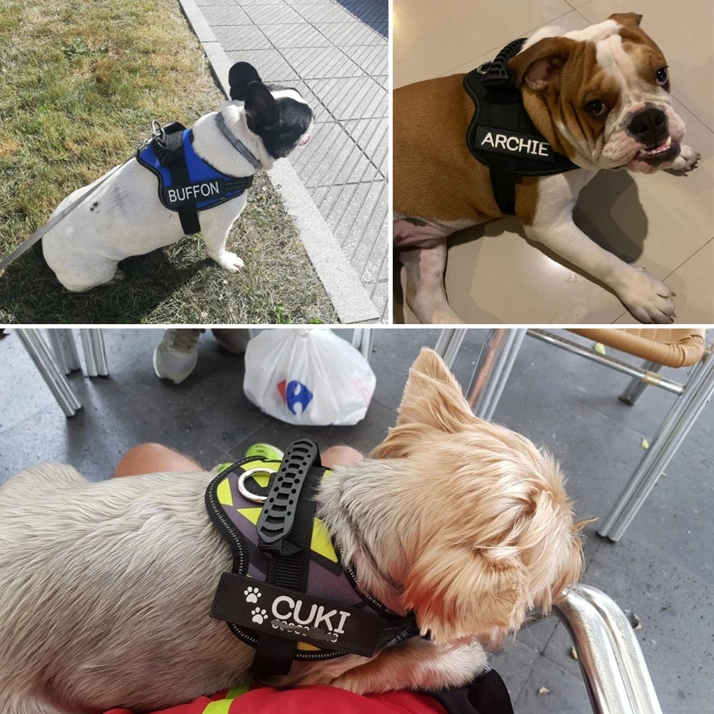 Personalized Harness