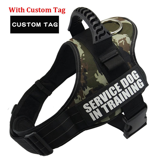 Personalized Harness