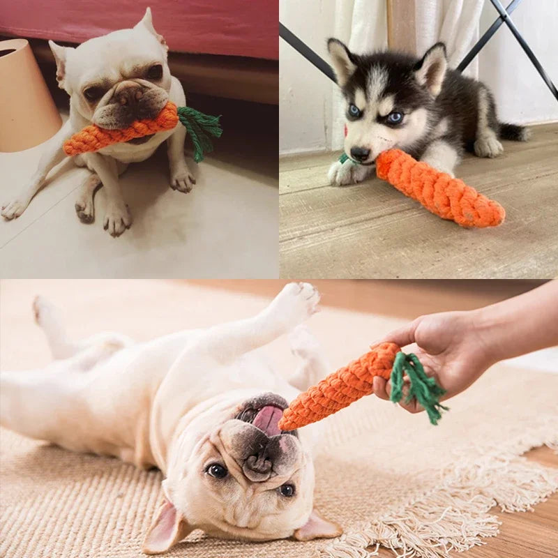 Rope Toy