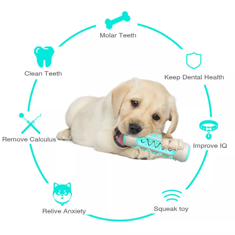 Molar Toothbrush