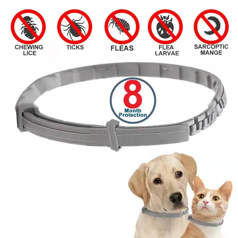 Dog Anti Flea And Ticks Collar