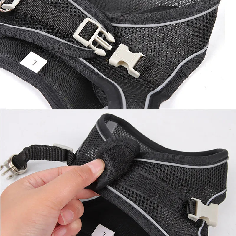 Dog Harness Leash for Small Dogs