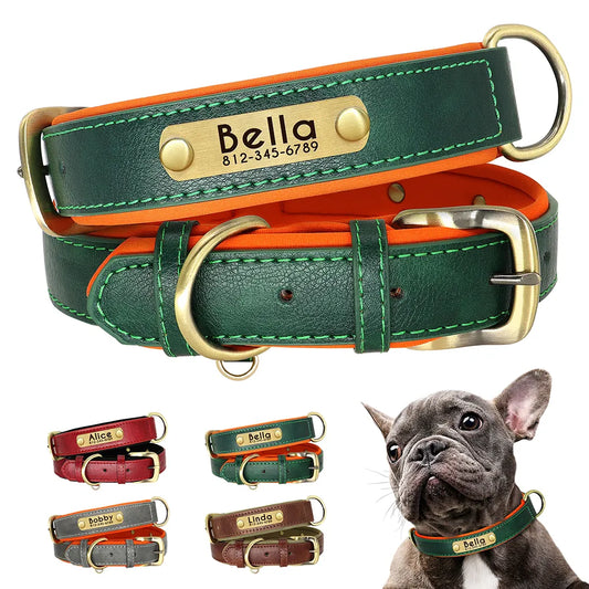 Leather Nameplate Dog Collar