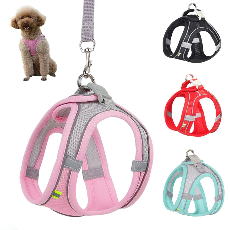 Dog Harness Leash for Small Dogs