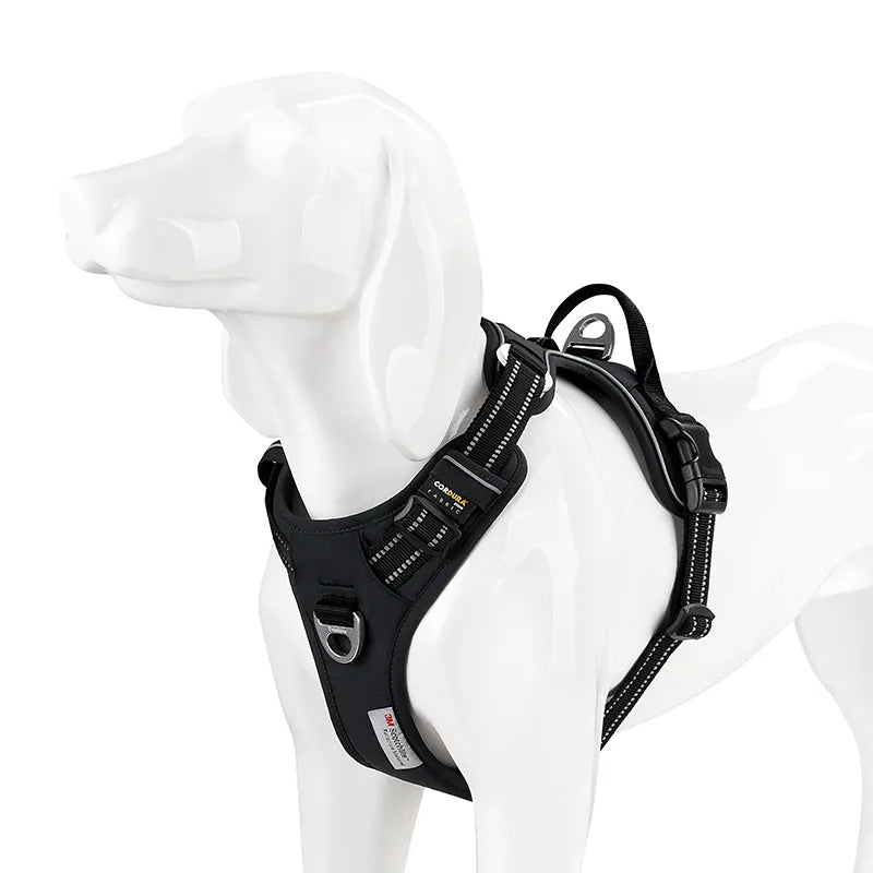 Medium Harness