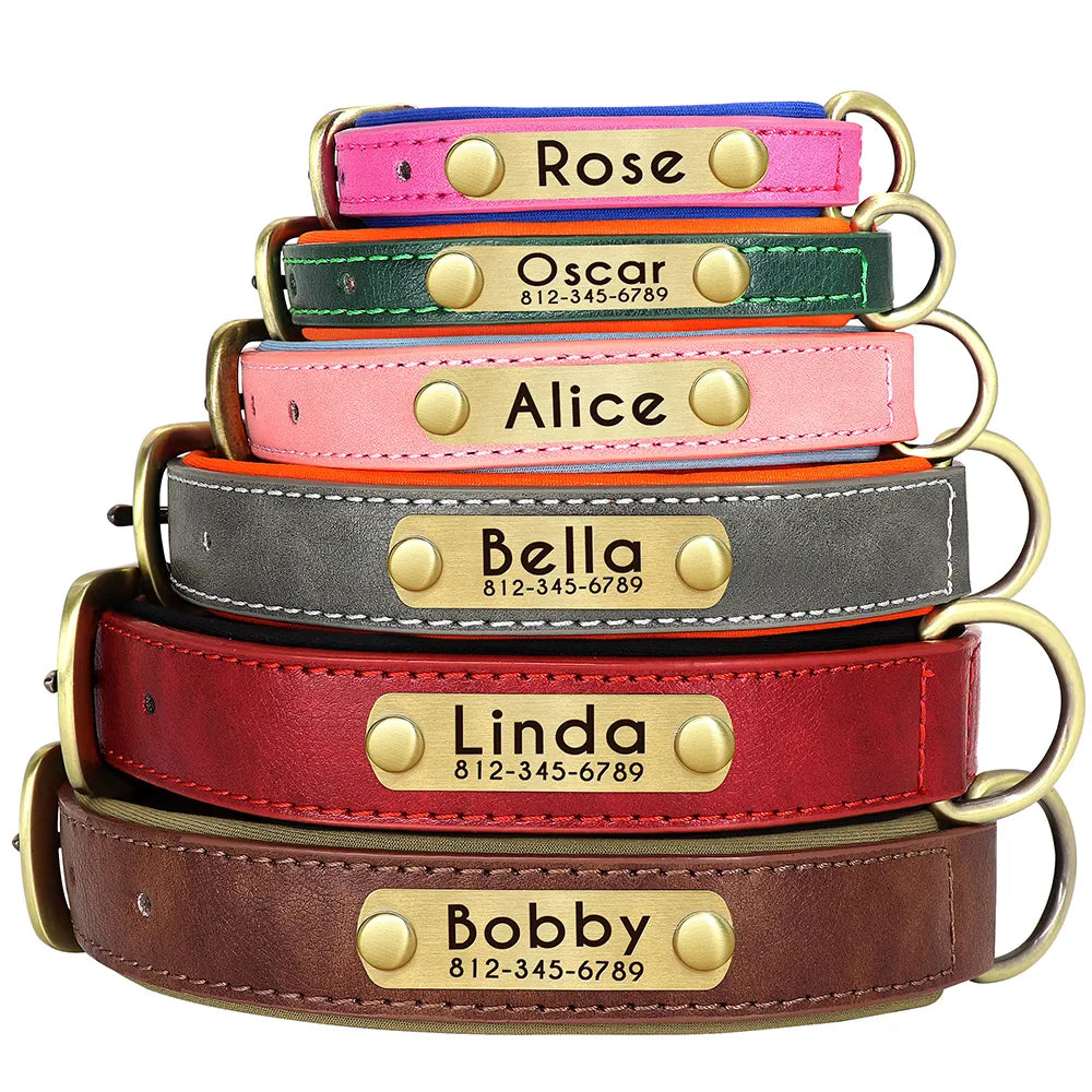 Leather Nameplate Dog Collar