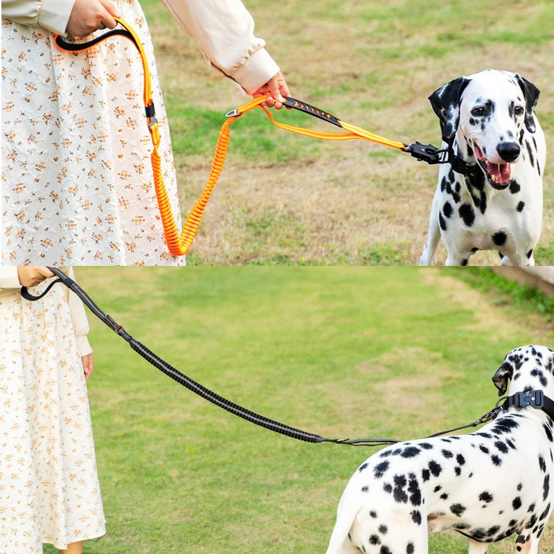 Heavy Duty Leash with Seatbelt Attachment