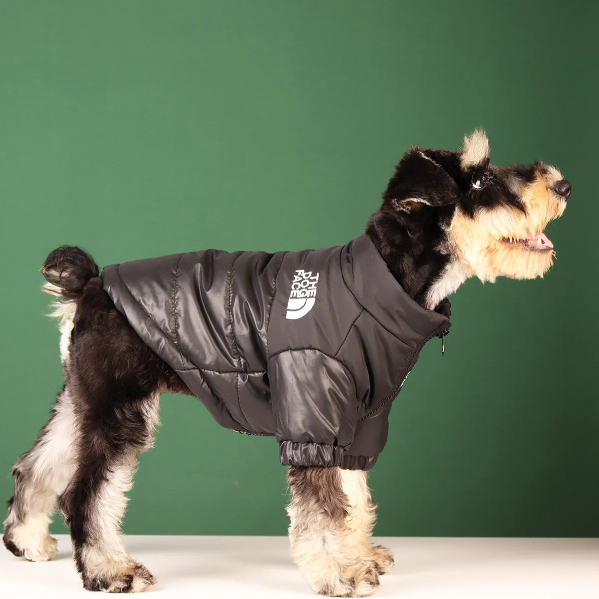 Winter Windproof Jacket