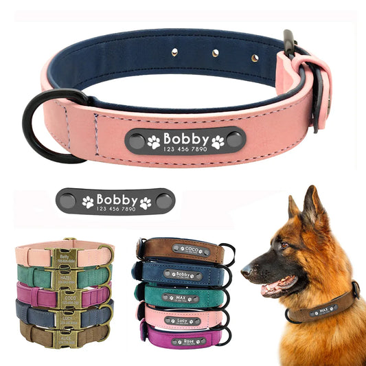 Personalized Dog Collars