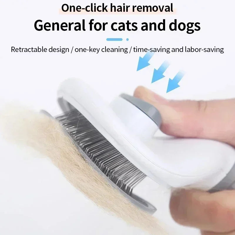 Hair Removal Brush