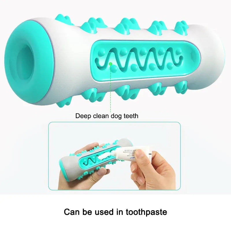 Molar Toothbrush