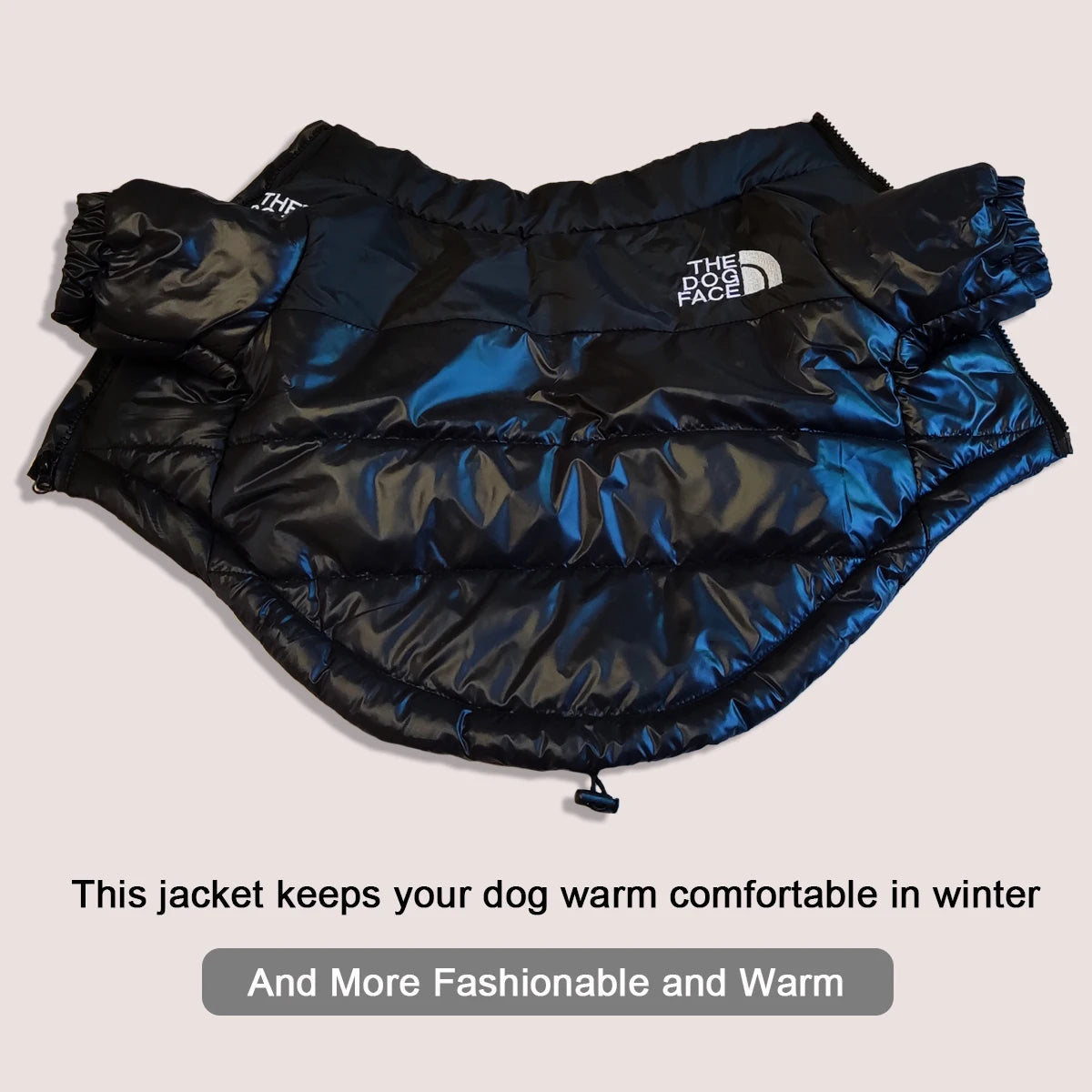 Winter Windproof Jacket