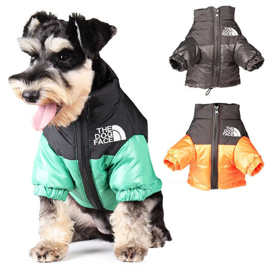 Winter Windproof Jacket
