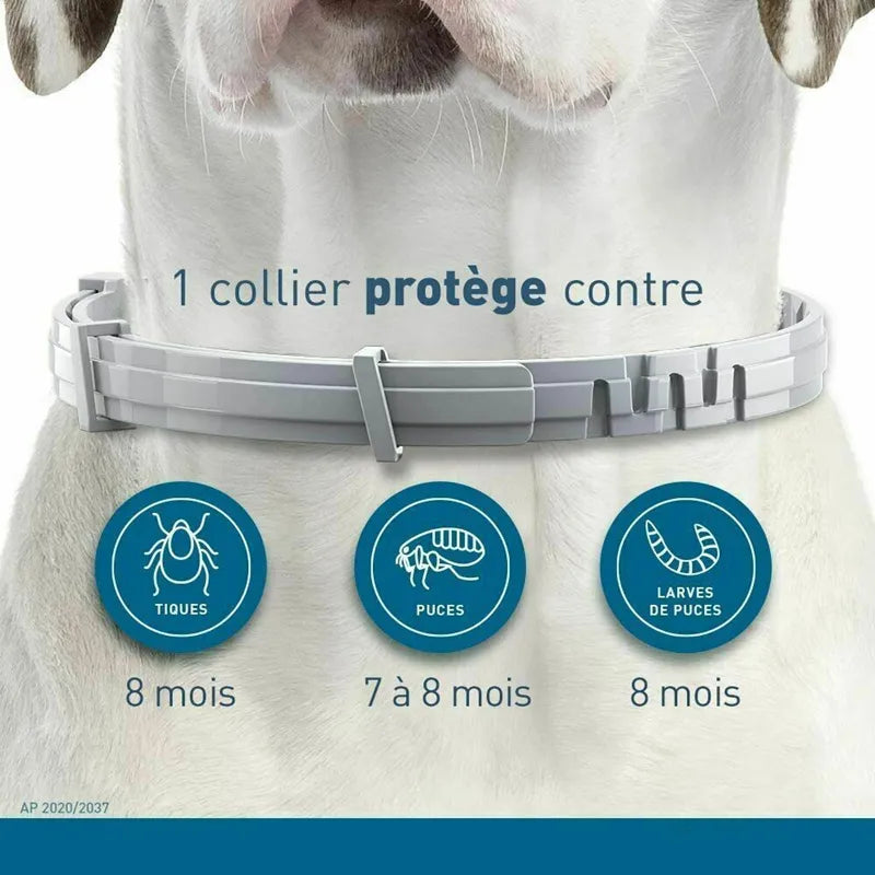 Dog Anti Flea And Ticks Collar