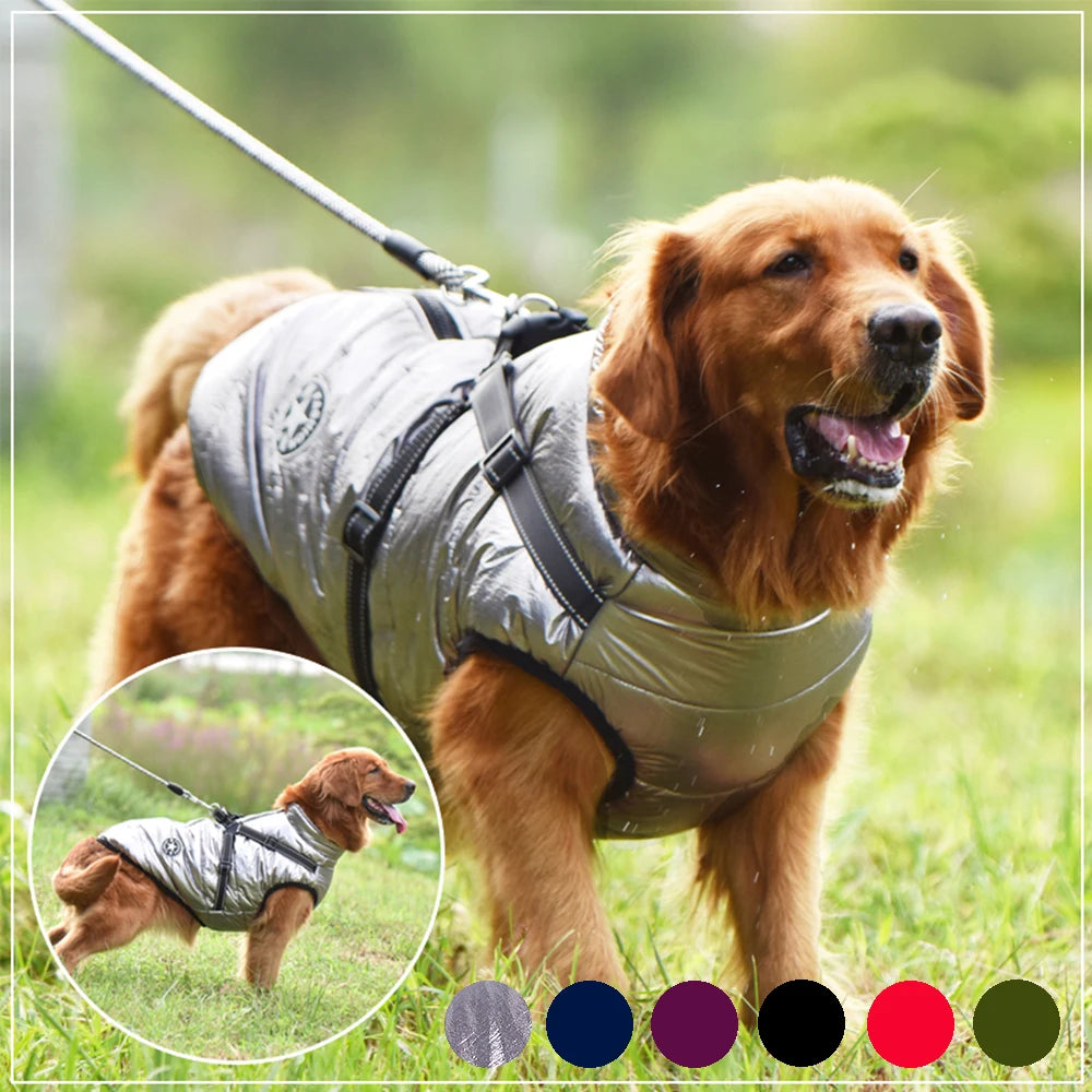 Dog Jacket With Harness