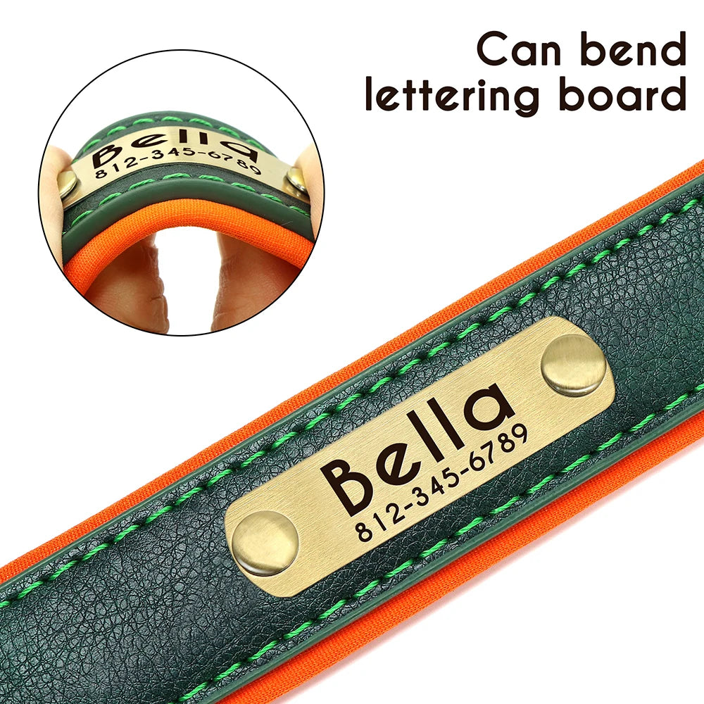 Leather Nameplate Dog Collar